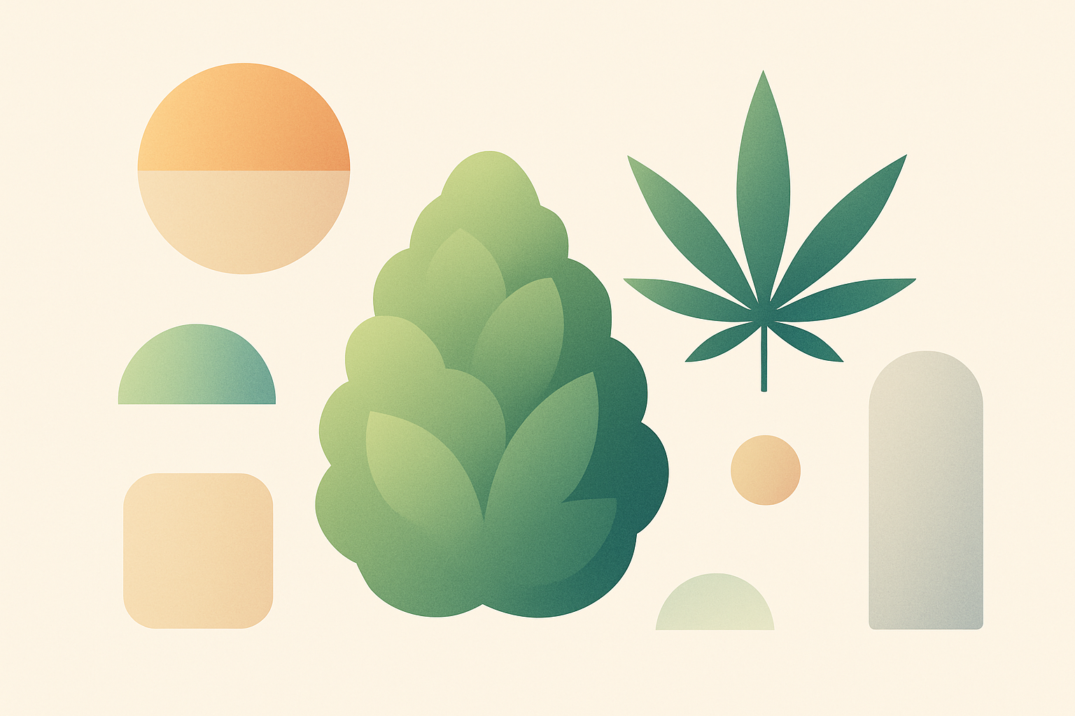 What Are the Best THCa Flower Strains in Raleigh NC?