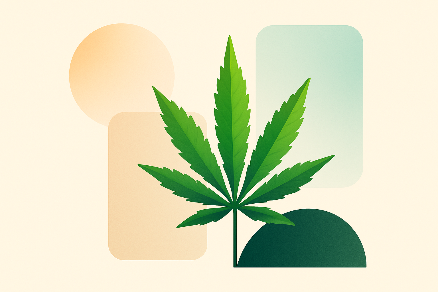 What are the benefits of using premium THCa flower?